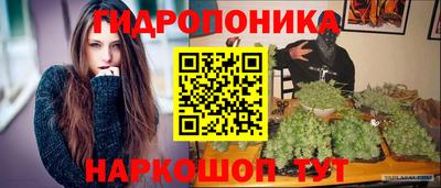 индика Лесосибирск