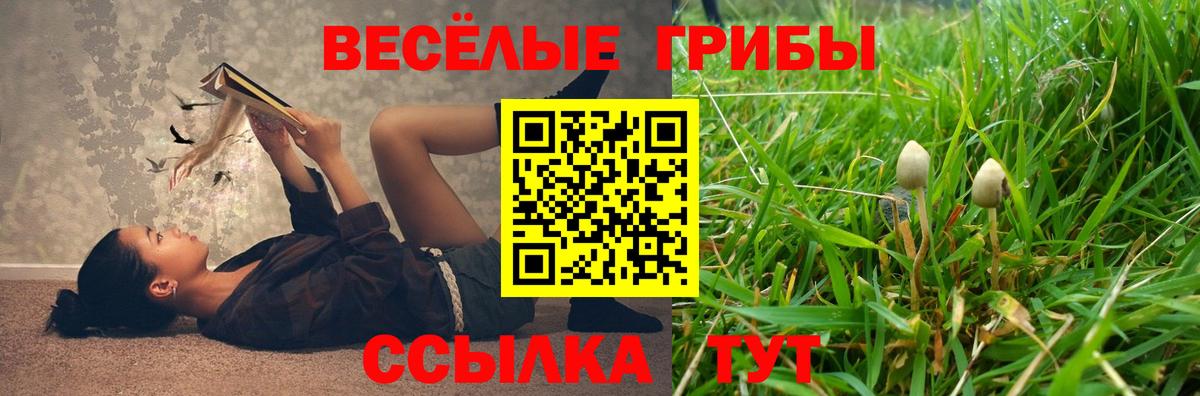 Галлюциногенные грибы мицелий Губкинский