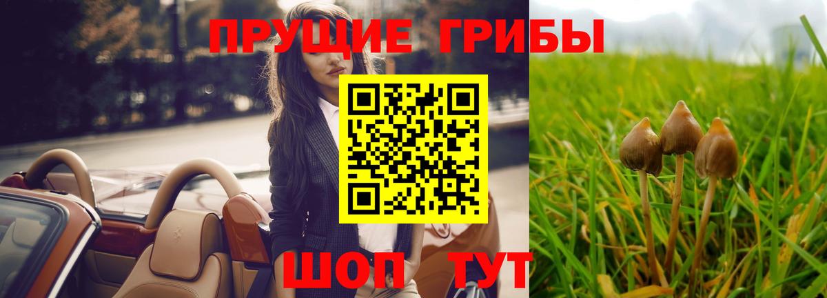 Губкинский  купить   Вход с VPN  Галлюциногенные грибы MAGIC MUSHROOMS 