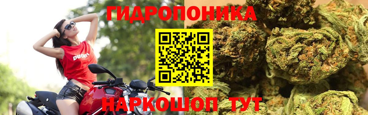 Бошки марихуана ГИДРОПОН  Шишки марихуана VHQ  Губкинский  Вход с VPN 